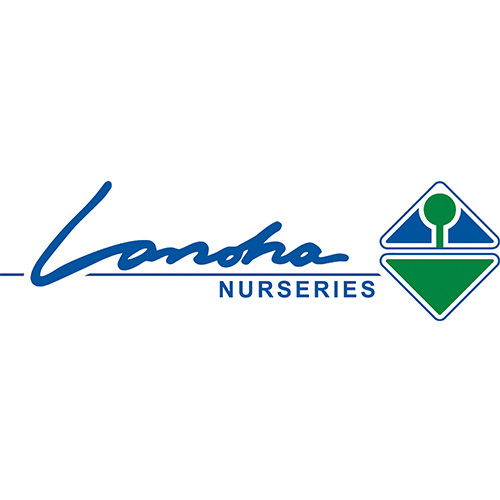Lenoha logo